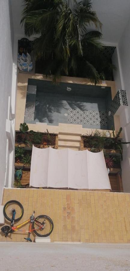 Oasis De Bornos Chambres מראה חיצוני תמונה
